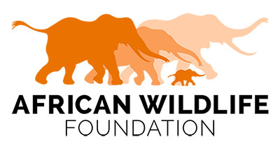 African Wildlife Foundation Logo-African Wildlife Foundation