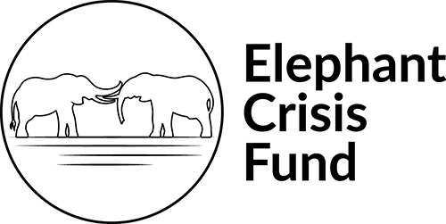 Elephant Crisis Fund Logo-Elephant Crisis Fund